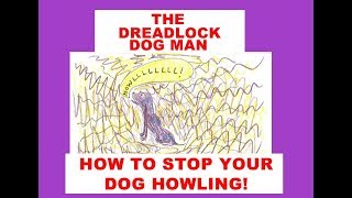HOW TO STOP YOUR DOG HOWLING!