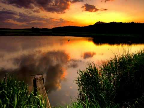 Kamil Polner & Sender - Energy Sublimation