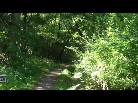 MongoTV_561 - Del 2 - Fede John På Skovtur Og Søndagsudflugt - 23.August 2015