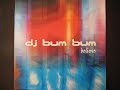 Dj Bum Bum Believe Vinyl Italodance 2003