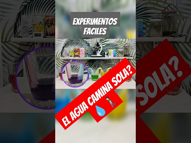 Vídeo relacionado con Procos Star Wars Galaxy - Juego de 36 platos de papel, vasos de papel, servilletas para cumpleaños infantiles