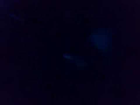 John Dahlback Vs Ultra Nate Free Hustle Up