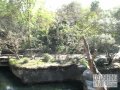 Disney S Wild Africa Trek Looking Over The Side At Crocodiles