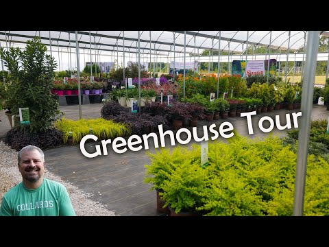 Showcase of Shrubs - Southern Living Plant Collection