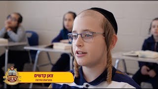 בנין הגדול והמפואר תלמוד תורה החדש דחסידי בעלזא בארא פארק | The NEW BELZ Cheider