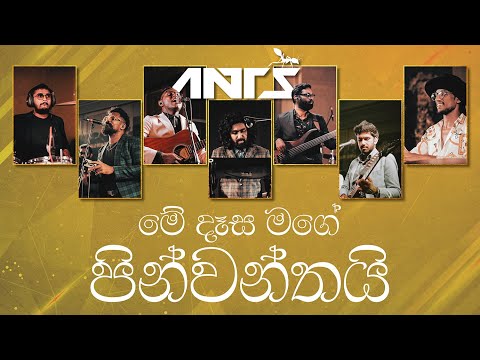 Me desa mage pinwanthai (මේ දෑස මගේ පින්වන්තයි )Ants Live