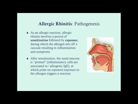 Allergic Rhinitis - CRASH! Medical Review Series