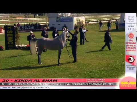 Rome 2014 - Class 1b