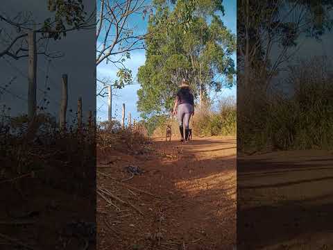 Caminhada sertaneja Comunidade Santa Rita município Vianópolis Goiás Brasil