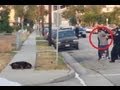 Hawthorne, Ca Police Kill Dog Graphic Video Officer Shoots Dog - Owner Leon Rosby Handcuffed