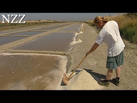 Die Erdnuss beim Ekzem Die Hilfsbasistherapie atopitscheskogo der Hautentzündung