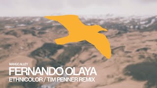 FERNANDO OLAYA Ethnicolor (Tim Penner Remix)