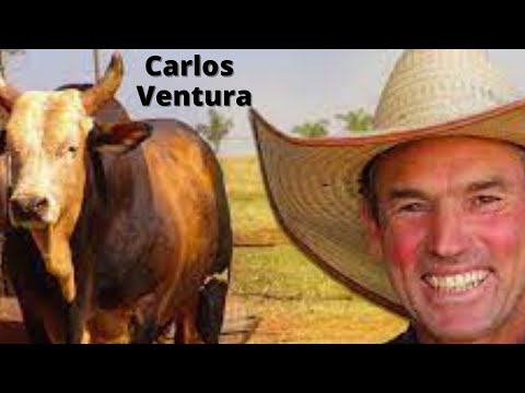 Carlos Ventura vs Desquite😃😃😃