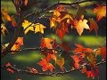 George Cables -- Three 'O Clock In The Morning