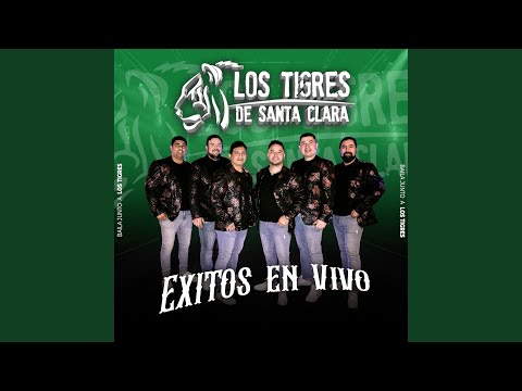 Qué Te Pasa Negra - Recibí Tu Carta - La Burrita - Casimira (En Vivo)