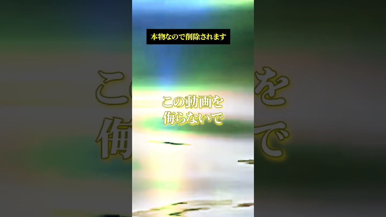 何度も消された恋の奇跡解禁