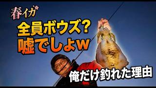 【春イカ】「今日は絶対釣れない」と同業者に言われた海で、俺だけがサクッと釣れた２０分の本当の理由