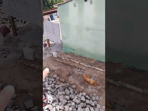 paredão da barragem de Jucati Pernambuco #viraliza