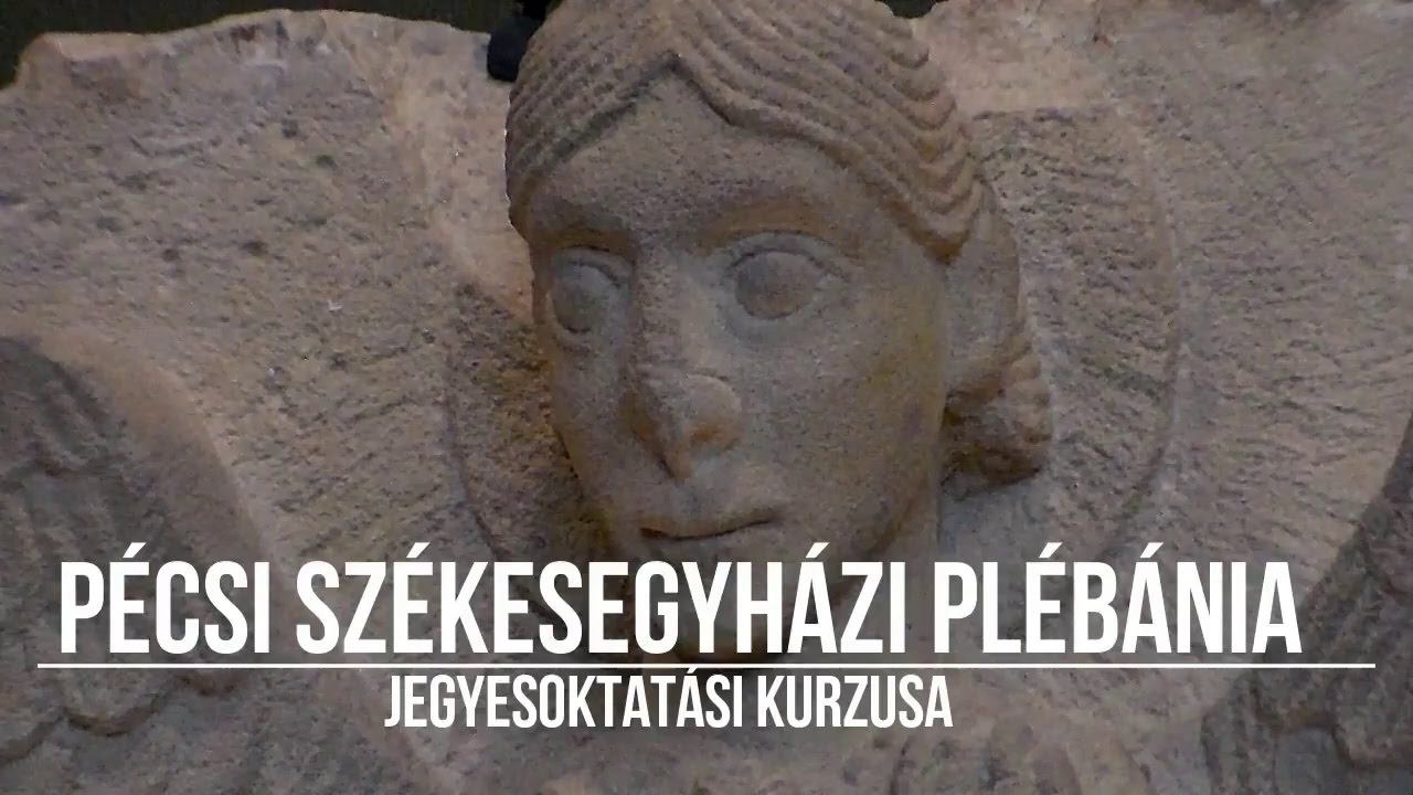 Férfi világ - női világ (2017)