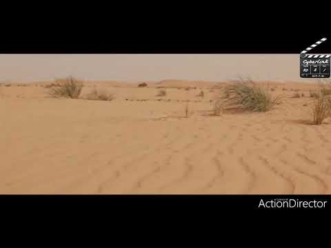 سعيد الموساوي- لكل ليل Said Elmoussaoui - Li Koli Lyal