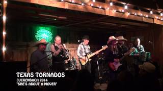 &quot;LIVE&quot; Texas Tornados &quot;She&#39;s About A Mover&quot; Luckenbach 2014