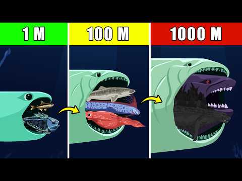 Bloop Eat Fish and Grow: From 20 cm to 300 meters