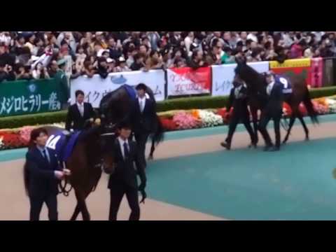 2016.10.30 東京競馬場☆天皇賞☆エイシンヒカリ_02