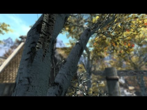 SKYRIM ULTRA GRAPHICS - Project ENB Video