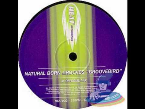 NATURAL BORN GROOVES : Groovebird ( Baby Blue Mix )