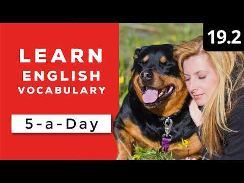 Learn English Vocabulary Daily 36 3 — British English Podcast