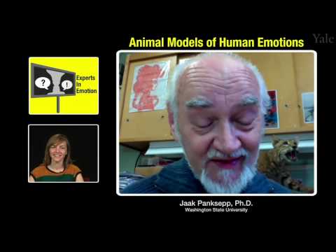 Experts in Emotion 3.3 -- Jaak Panksepp on Animal Models of Human Emotion