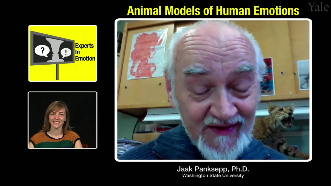 Jaak Panksepp on Animal Models of Human Emotion