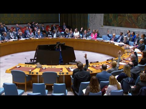 Video Thumbnail: Russia, China veto UN resolution on reopening Strait of Hormuz | AFP