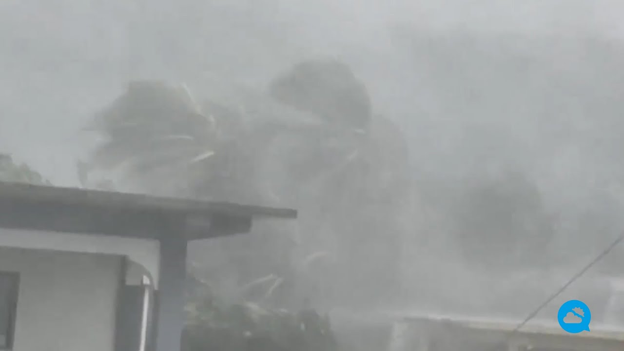 youtube video id=dr3OdIwjv9M