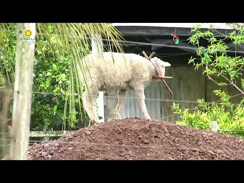Uruguay por dentro 02 de Noviembre del 2024 , Cerro Chato, Tacuarembó.