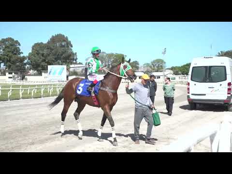 221105 c02 MARAVILLA VAN