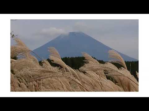 農業のあるくらし～富士農場～
