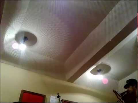 Poodle Toy video