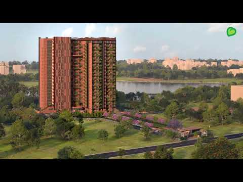 Misty Shores Project Tour 1