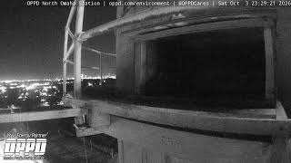 North Omaha Station Peregrine Falcon Watch