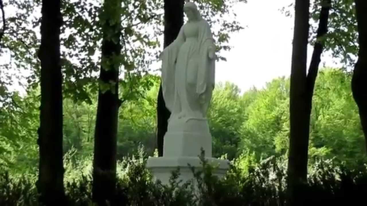 Полезное видео