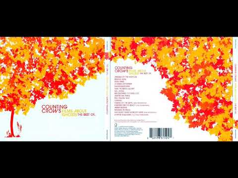 Counting Crows - Mrs Potters Lullaby