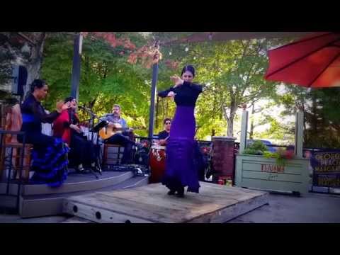 Alma Flamenca - Tientos 2 - Flamenco - Atlanta