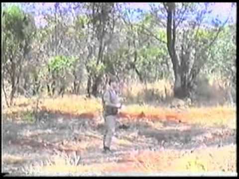 OURO FINO NOTICIÁRIO MUNICIPAL FILME 25 BLOCO 1 - 28 DE OUTUBRO DE 1994