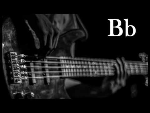 5 String Bass Half Step Down Tuning ♪