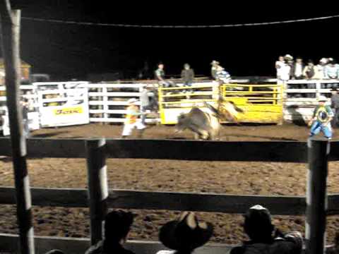 primata x fabricio alves