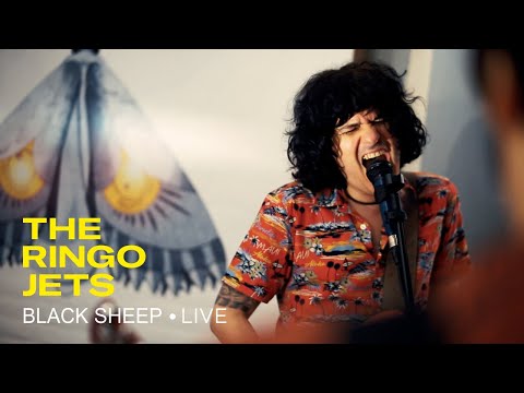 THE RINGO JETS - Black Sheep (Live Session)
