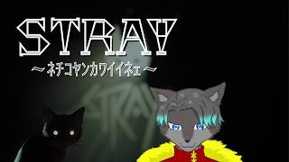 【VTuber】夏のホラゲー祭り会場で～～～～す！！！5/5【Stray】