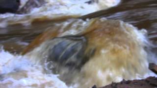 RANDY DESCRIBED ETERNITY - Built to Spill (Official Video) (HD SOUND)