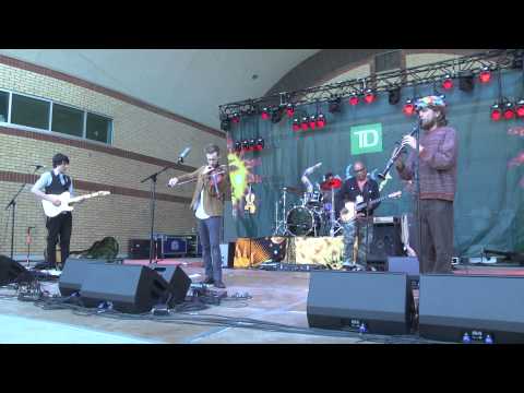Jaron Freeman Fox & The Opposite of Everything: TD Sunfest 2014